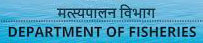 Department Of Fisheries